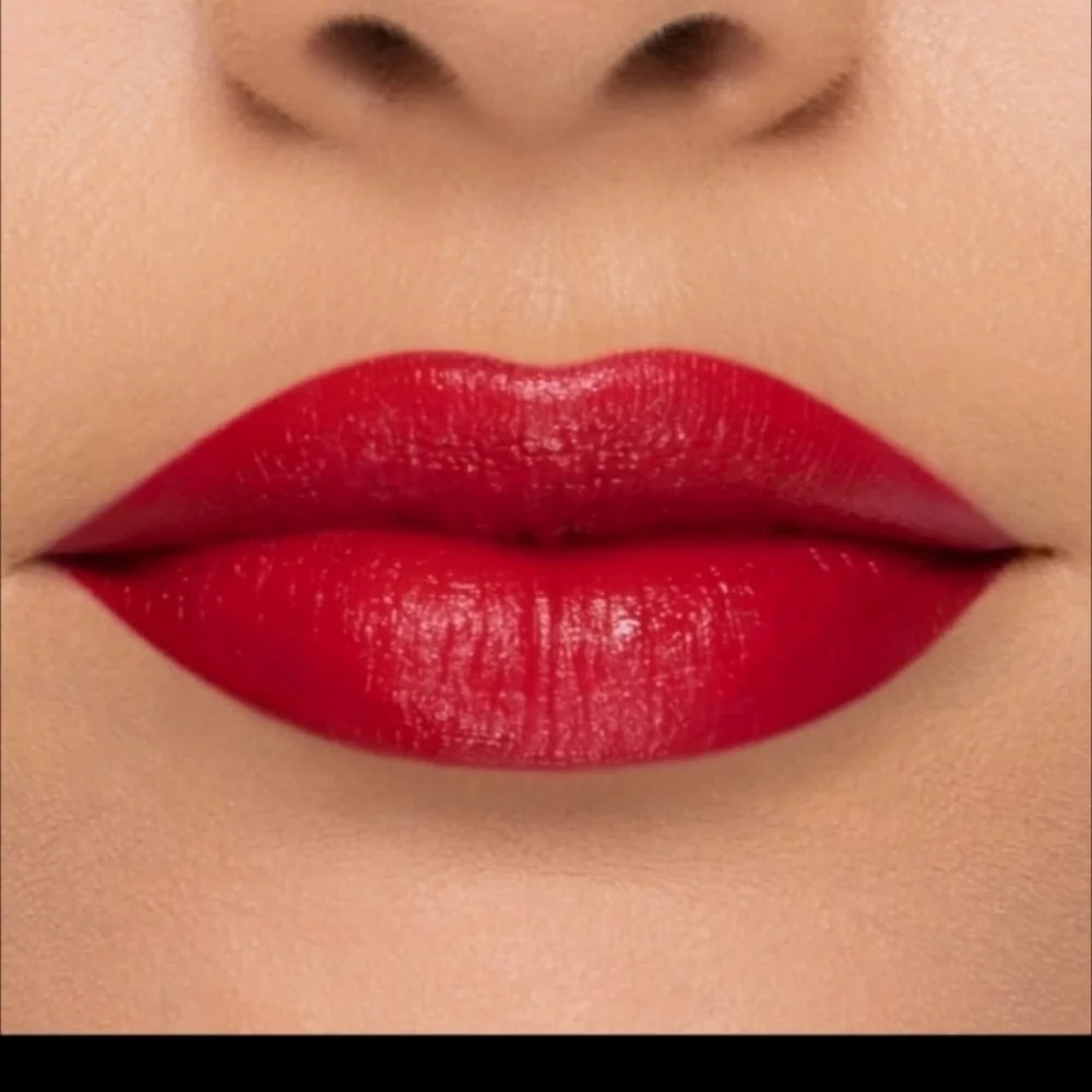 Too faced lady bold EM power pigment lipstick